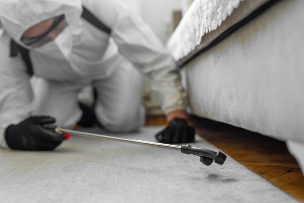 Professional Termite Control technician working in Wading River, NY
